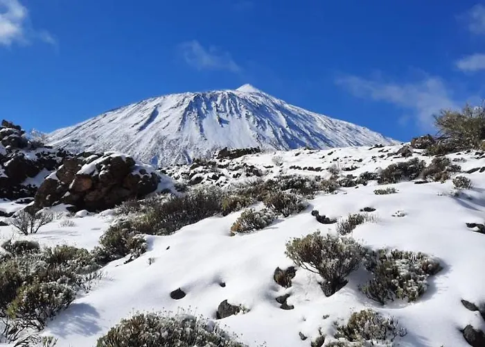 Club Paraiso 101 * アデヘ