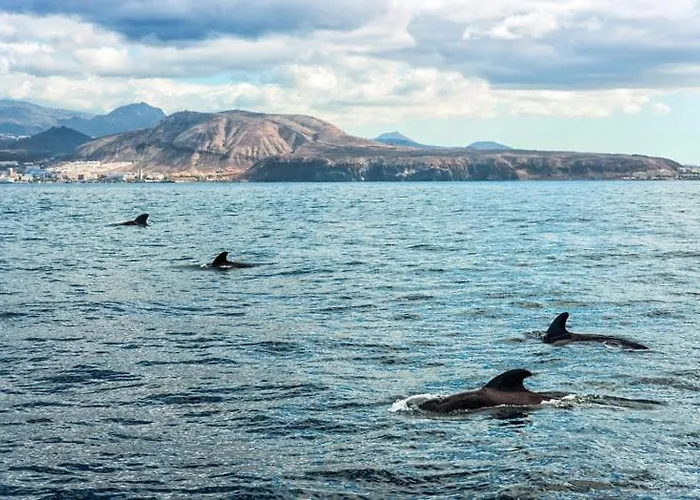Apartment Club Paraiso 101 Costa Adeje (Tenerife)